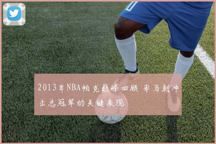 2013年NBA帕克巅峰回顾 率马刺冲击总冠军的关键表现
