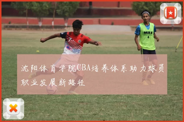 沈阳体育学院CBA培养体系助力球员职业发展新路径