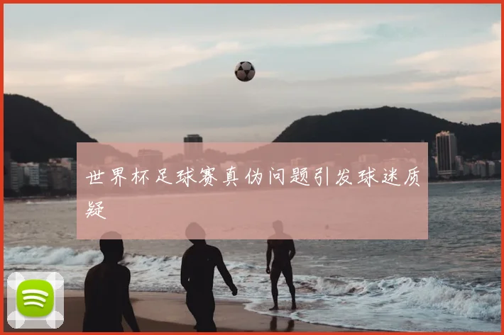 世界杯足球赛真伪问题引发球迷质疑