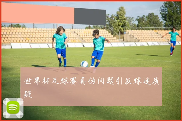 世界杯足球赛真伪问题引发球迷质疑